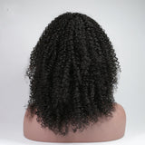 Kinky Curly Full Lace Wig